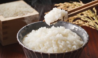 米饭蒸多久能熟，三色糙米饭蒸多久能熟