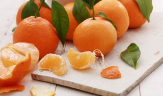 橘子种子发芽了该怎么种（橘子种子如何发芽）