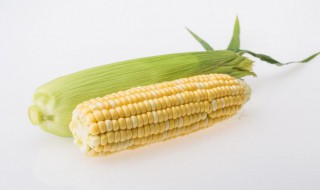 玉米一般蒸多久能熟（玉米蒸多久可以熟?）