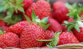 草莓是什么时候成熟上市季节 正常的草莓上市时间是几月份