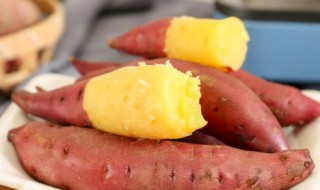 红薯芽怎么去根栽培，红薯根怎么种