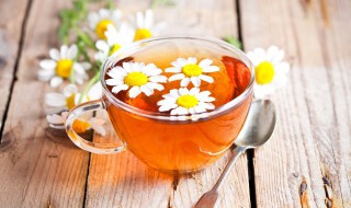 家里栽的菊花可以泡茶吗 家庭盆栽的菊花可以泡茶喝吗