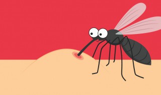 蚊子寿命多长，蚊子的寿命是多长?