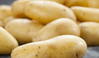 土豆什么时候种植最好 冬季土豆什么时候种植最好