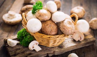 怎样区分毒蘑菇和可食用蘑菇 如何区分毒蘑菇和可食用蘑菇