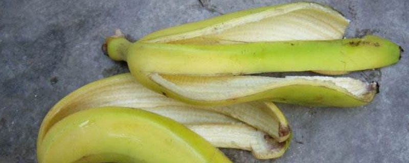 用香蕉皮自制钾肥（香蕉皮泡水是钾肥吗）