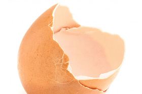 鸡子壳的功效与作用,鸡子壳是什么,鸡子壳的功效