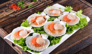 海鲜贝类可以放冰箱保鲜吗，贝壳类海鲜放冰箱能放多久
