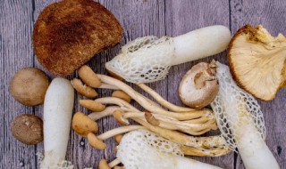 香菇蘑菇常温可以放多久 鲜香菇室温能放几天