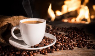 哪里最适合种咖啡豆，咖啡适合在哪里种