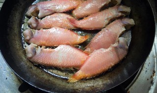 鹦哥鱼怎么做好吃又简单 鹦鹉鱼食谱
