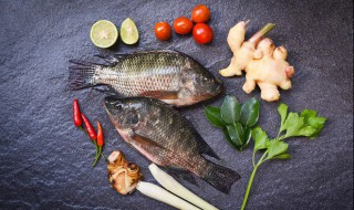 家常罗非鱼怎么做好吃 罗非鱼怎样做好吃家常做法