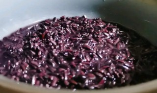 紫米要煮多久会熟 紫米怎么才算煮熟