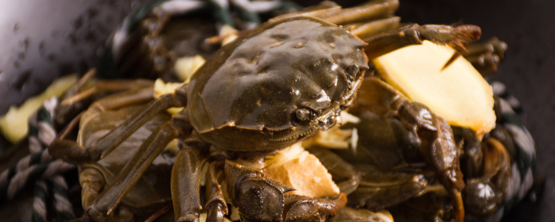 螃蟹煮多久可以吃