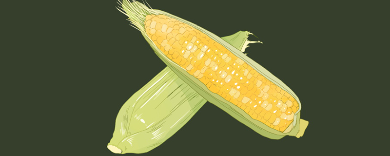 玉米里的虫子叫什么