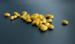 种植黄豆需要哪些种植条件（种植黄豆需要哪些种植条件呢）