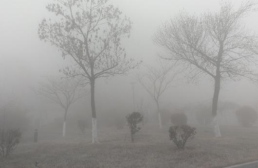 雾霾天应该怎锻炼