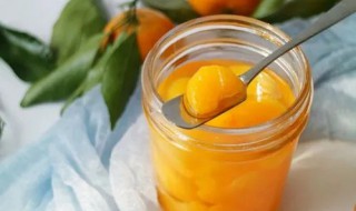 橘子如何制作长期保存方法（橘子如何制作长期保存方法图片）