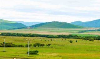 内蒙古什么地方适合自驾游，内蒙古什么地方适合自驾游旅游