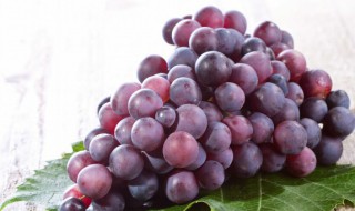 葡萄的品种有哪些（葡萄的品种有哪些图片及名称）