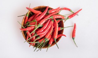 辣椒在家里的种植方法（在家种辣椒的方法和步骤）