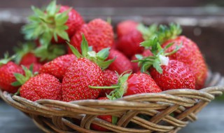 草莓是什么季节种植，草莓是什么季节种植好