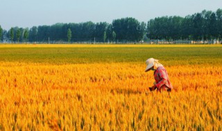 农民学习有什么好处 农业技能培训对农民的好处