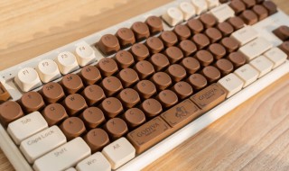 巧克力键盘的种类（巧克力键盘百科）