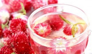 红巧梅和玫瑰花可以一起泡水喝吗