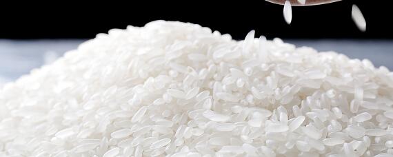 大米的种植过程 大米的种植过程图