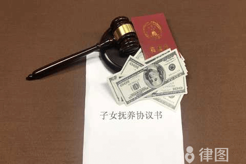 抚养权能转让给老人吗？