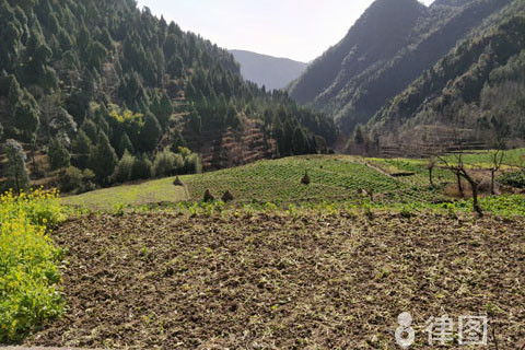 宅基地使用权强拆赔偿是怎样的，最新政策是怎样的