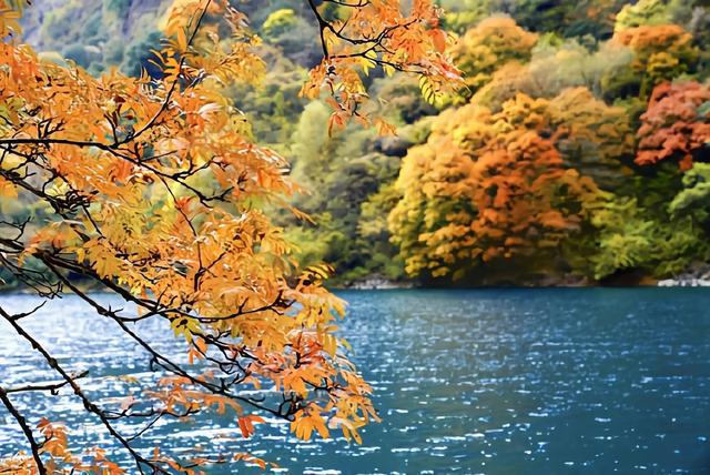 川西赏秋最佳指南——松坪沟