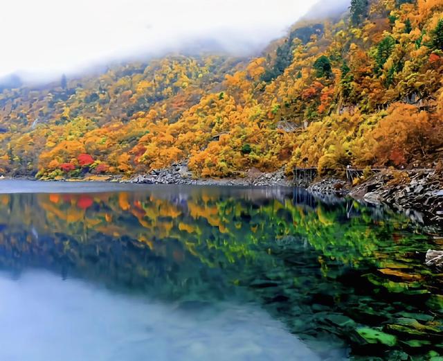 川西赏秋最佳指南——松坪沟