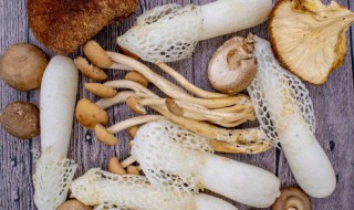 经常吃菌菇有什么好处 经常吃菌菇的好处