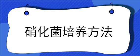 硝化菌培养方法（硝化菌怎样培养）