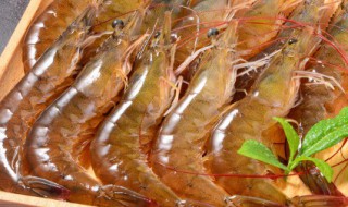煮熟的虾怎么保存才新鲜，煮熟的虾怎么保存才新鲜又好吃