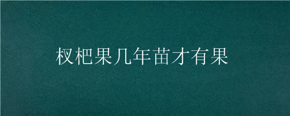 杈杷果几年苗才有果 枇杷苗几年挂果