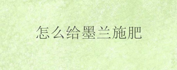 怎么给墨兰施肥，怎么给墨兰施肥呢