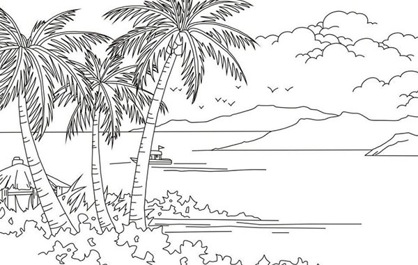 椰子树简笔画的分析介绍 表现方法如何