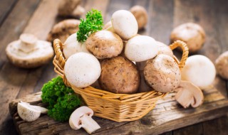 新鲜的蘑菇怎么保存 新鲜蘑菇怎么保存方法