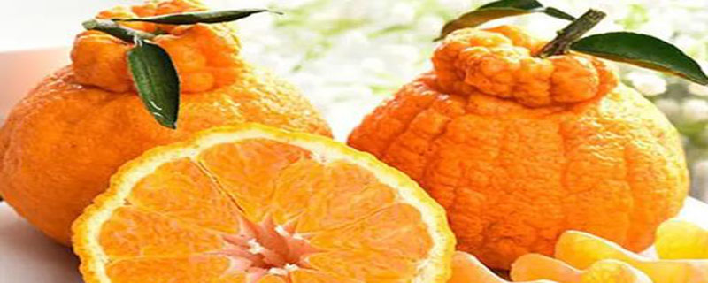 橘子种类及名称（橘子的种类名称）