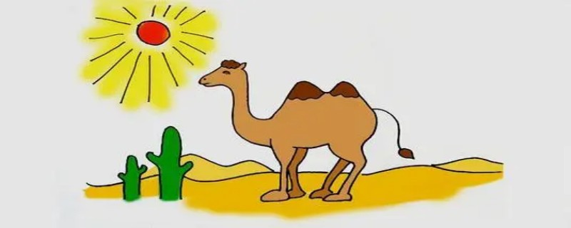 骆驼驼峰储存的是 骆驼驼峰储存的是啥