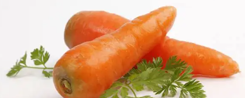 胡萝卜有糖维生素脂肪淀粉吗