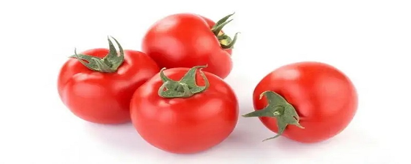 西红柿怎么保存时间长一点，西红柿怎么保存时间长一点需要用油炸吗