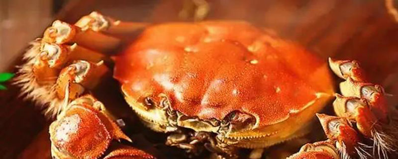 怎么吃螃蟹正确吃法 怎么吃螃蟹正确吃法不下手