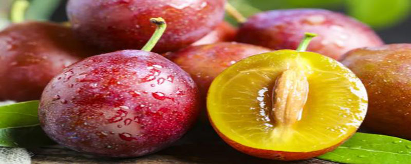 西梅是什么水果 西梅是什么水果产自哪里
