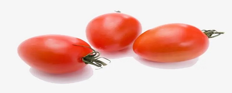 小番茄放冰箱还是常温 小番茄放冰箱常温多久