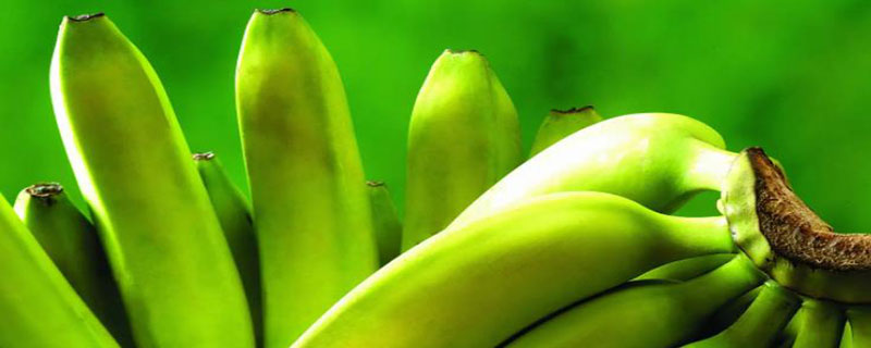 绿色香蕉怎样放能熟 绿色香蕉怎样放能熟不坏