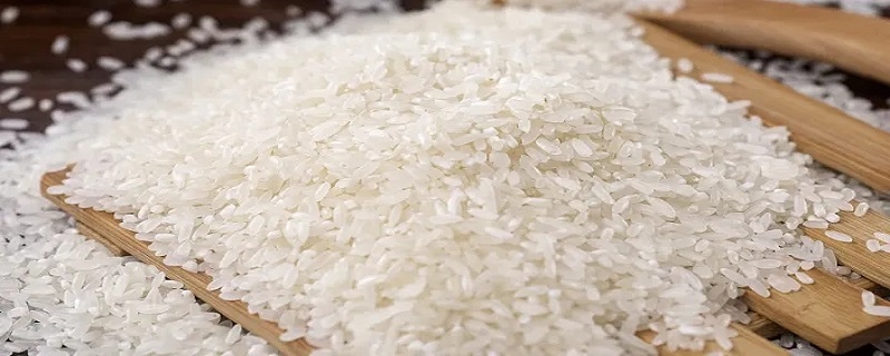 大米营养 大米营养成分